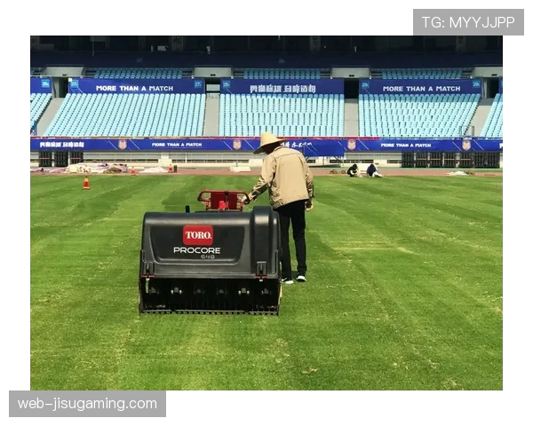 埃尔切主场宣布完成草皮翻新工程,以最佳状态迎接收官战 埃尔切主场宣布完成草皮翻新工程,以最佳状态迎接收官战